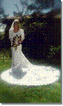 Bride in the sunlight