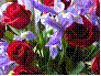 Iris & Red Roses designed by Elitevents floral design team